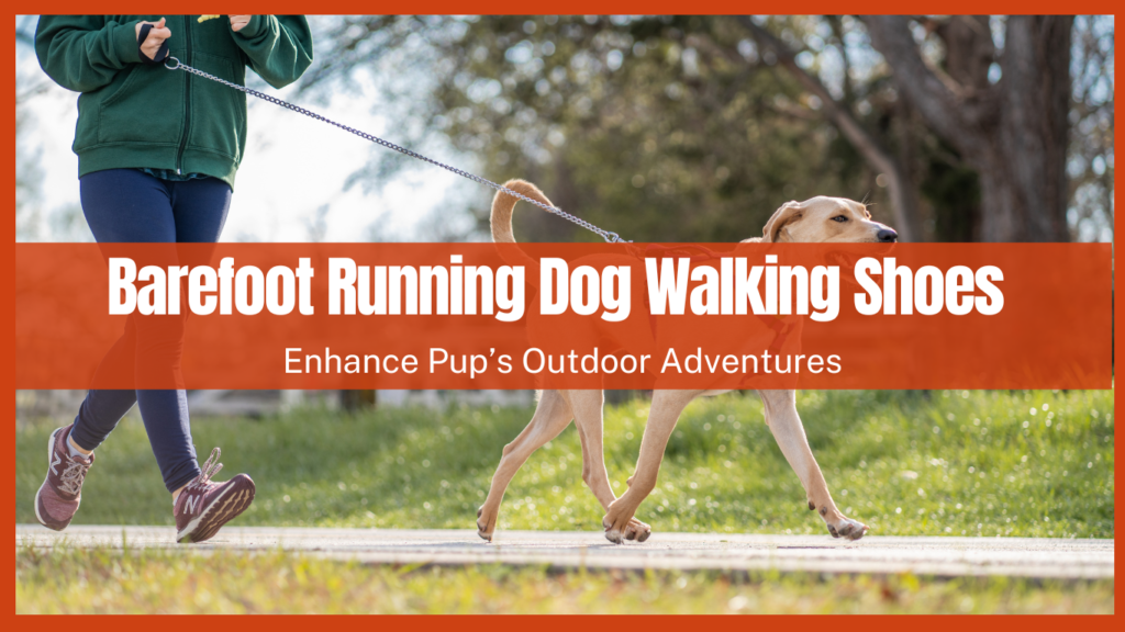 Barefoot Dog Walking Shoes: Enhance Pup’s Outdoor Adventures